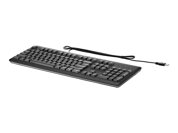 HP USB Keyboard (NO)