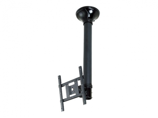 NEWSTAR Flatscreen Ceiling Mount Height