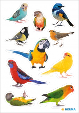 Herma stickers Decor birds (3)