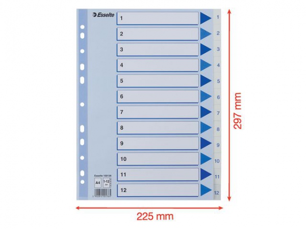 Register Esselte A4 Plast 1-12 Blå/Hvit (10 stk)