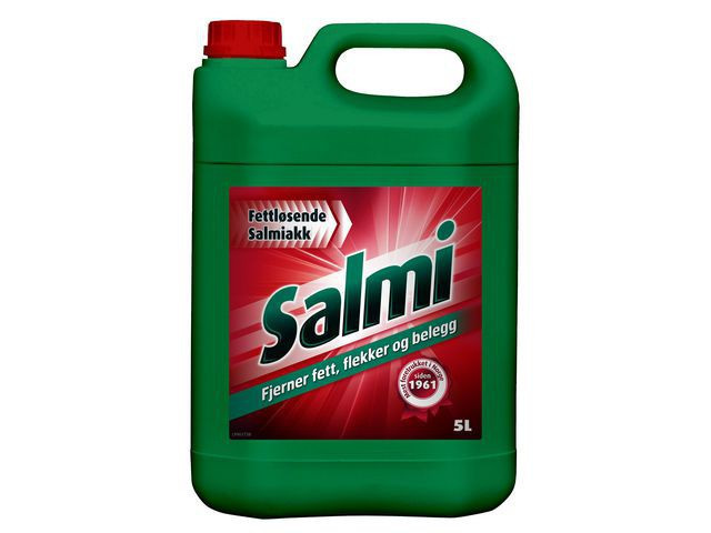 BildeRengjøring Salmi 5L