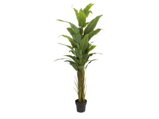 BildeKunstig Plante Strelitzia 180Cm