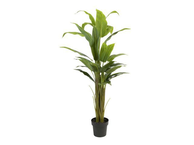 BildeKunstig Plante Strelitzia 150Cm