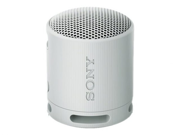 SONY SRSXB100H.CE7 wireless speaker Grey